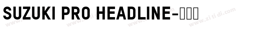 Suzuki PRO Headline字体转换